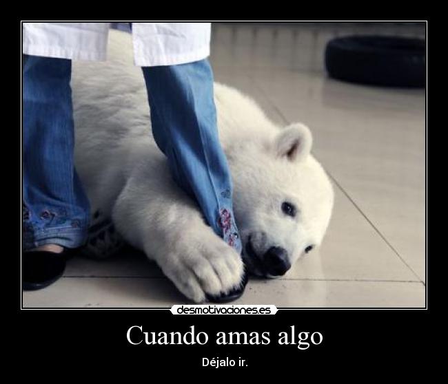 Cuando amas algo - Déjalo ir.