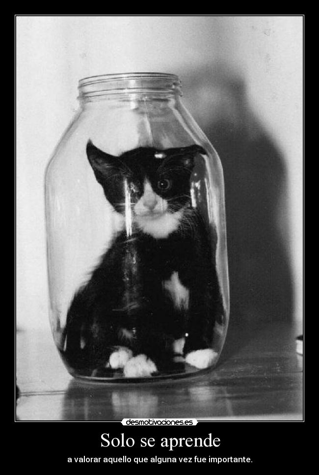 Solo se aprende - 