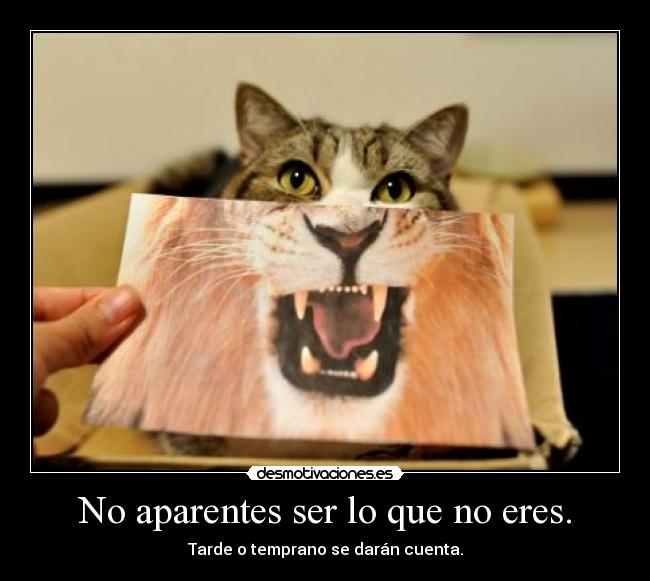 No aparentes ser lo que no eres. -