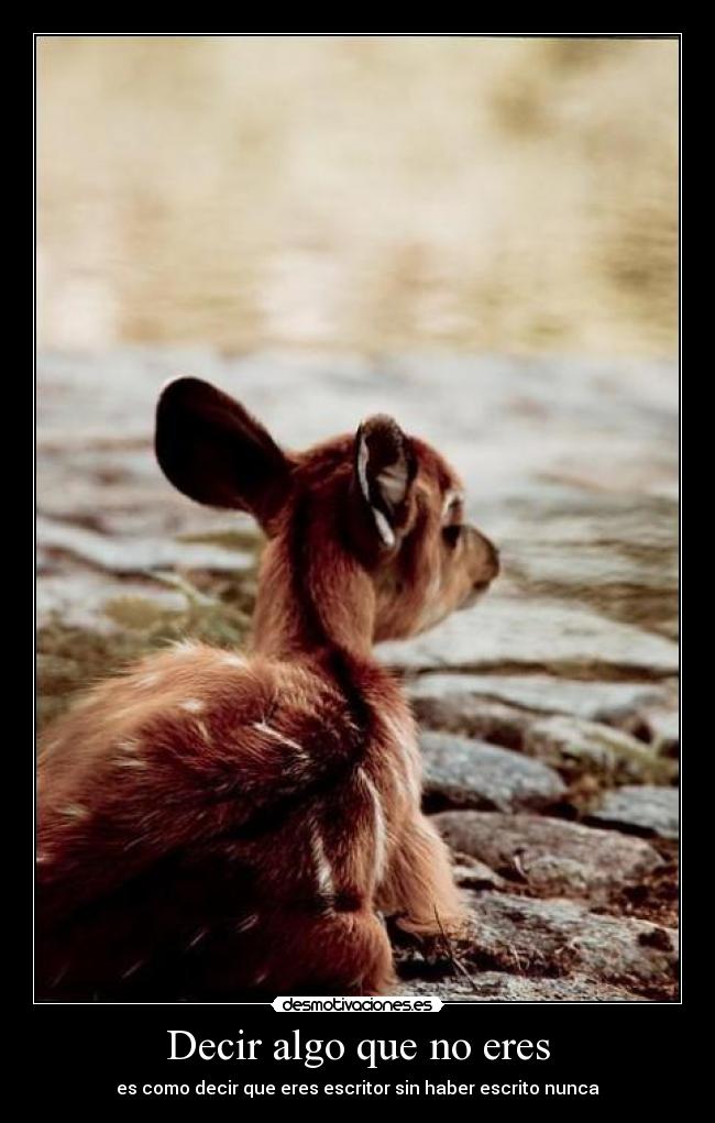Decir algo que no eres - es como decir que eres escritor sin haber escrito nunca