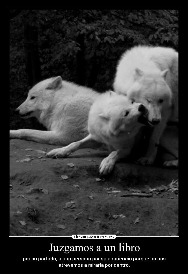 carteles lolchinolol desmotivaciones