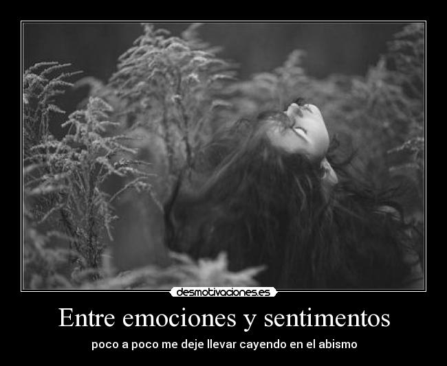 Entre emociones y sentimentos -