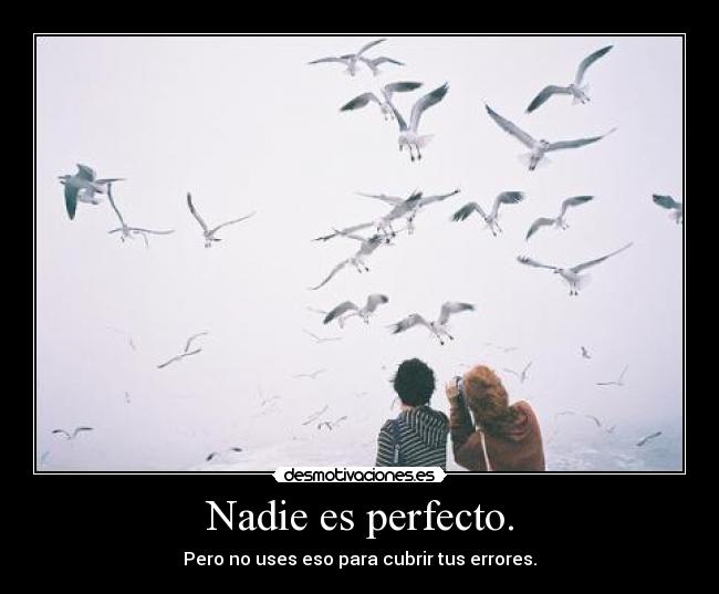 Nadie es perfecto. - 