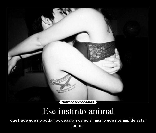 Ese instinto animal - 