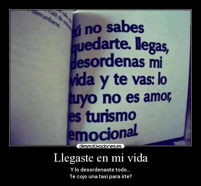 Llegaste en mi vida - 