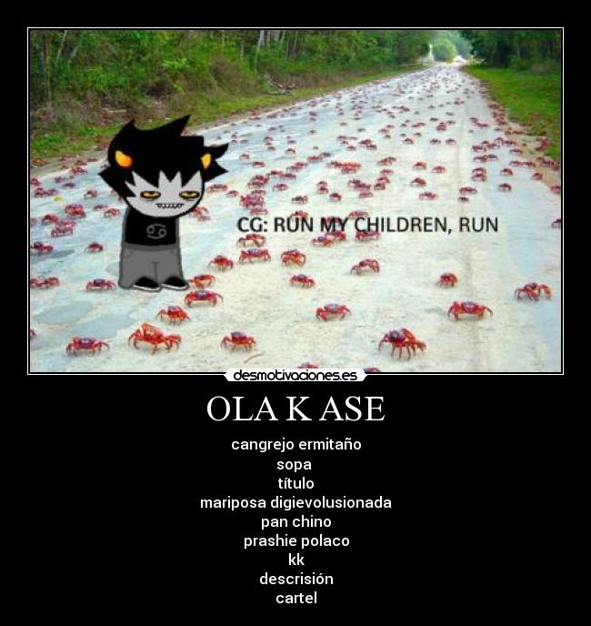 carteles ositos jaribo onepiecebiersack was here desmotivaciones