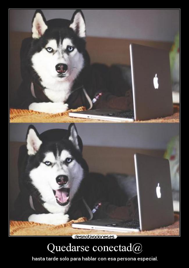 Quedarse conectad@ -