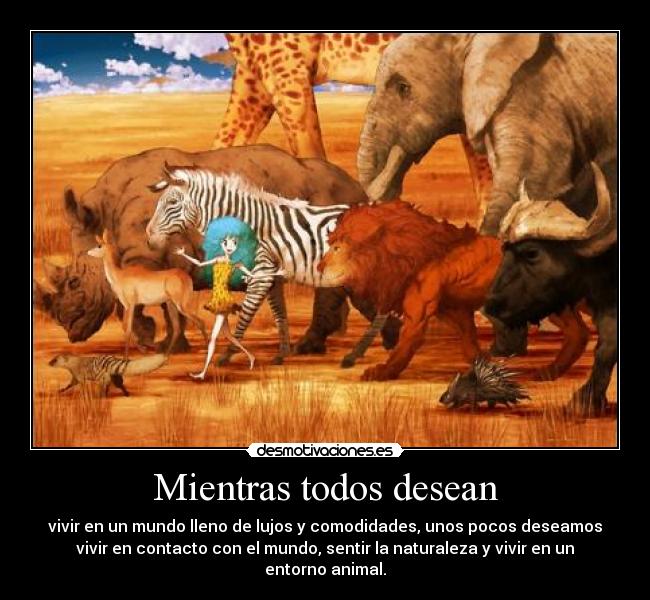 Mientras todos desean -