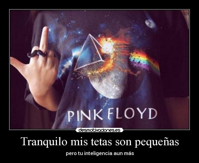 Tranquilo mis tetas son pequeñas - pero tu inteligencia aun más