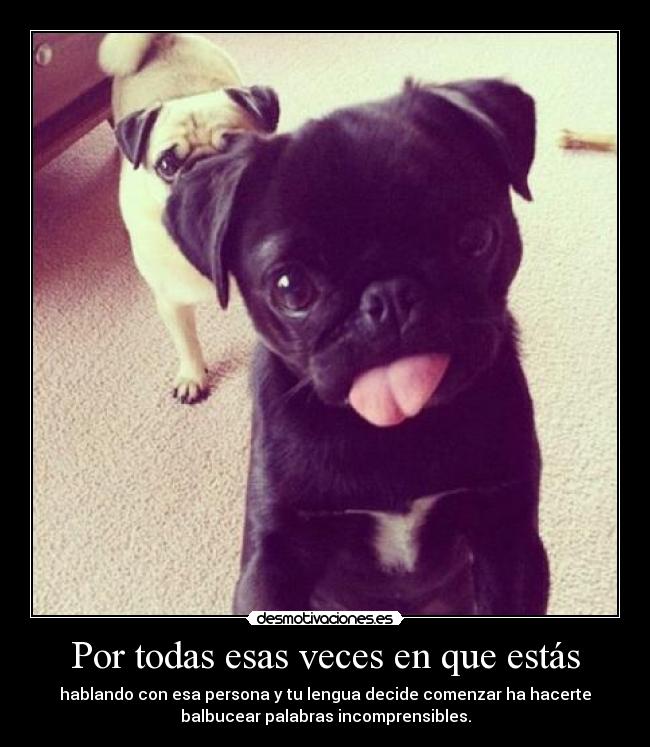 Por todas esas veces en que estás - hablando con esa persona y tu lengua decide comenzar ha hacerte
balbucear palabras incomprensibles.