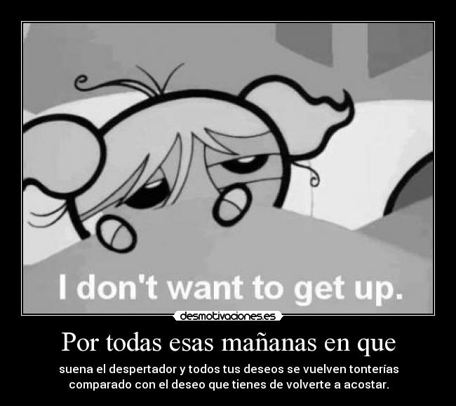 carteles levantas primero que piensas cuantas horas quedan para volverte acostar desmotivaciones