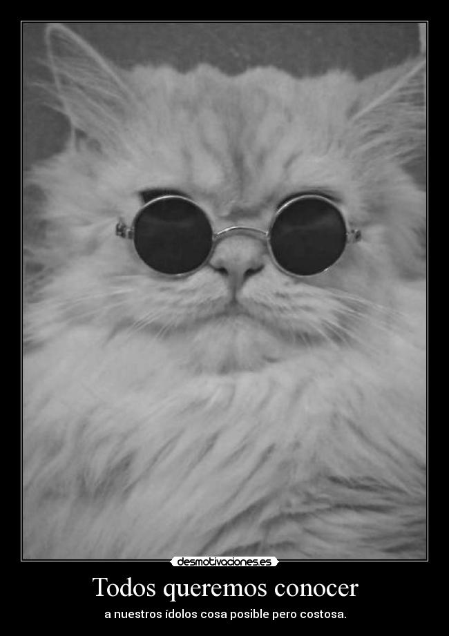 Todos queremos conocer -