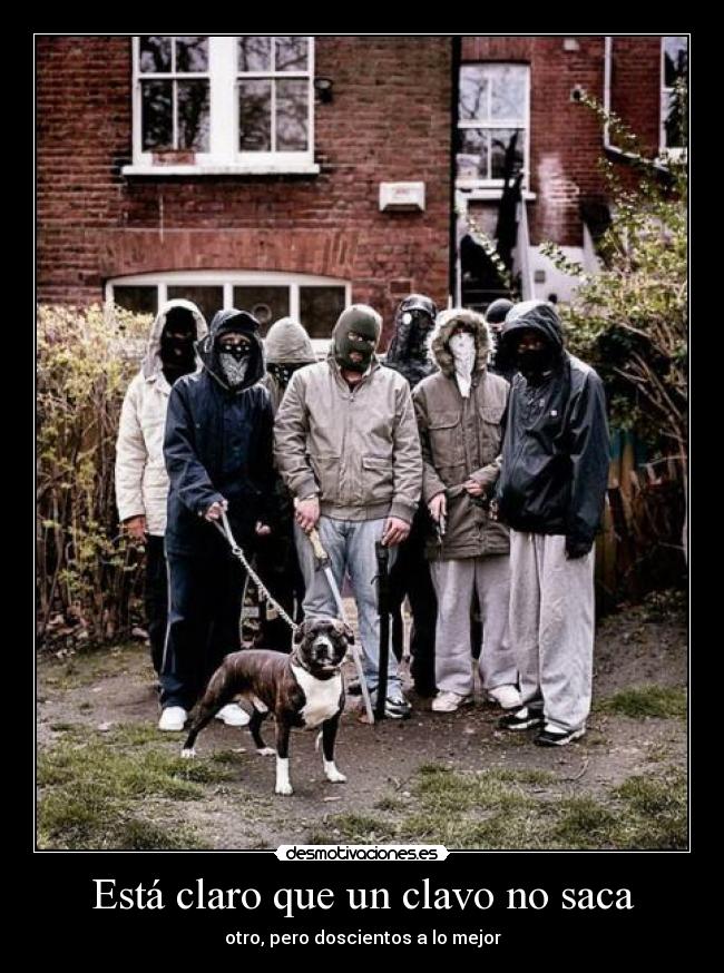 carteles still will kill desmotivaciones