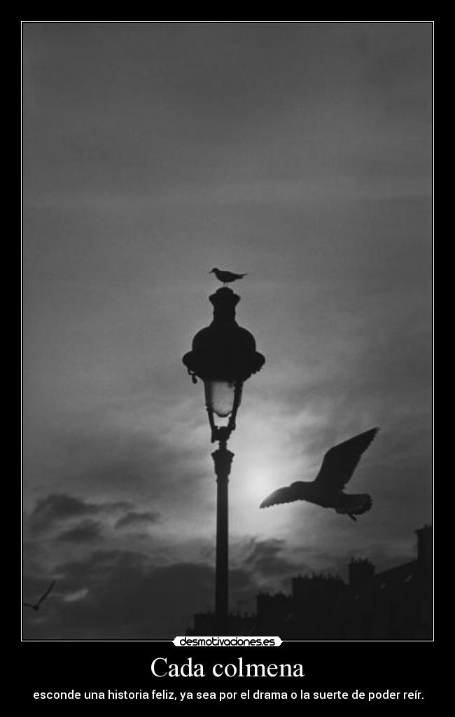 Cada colmena - esconde una historia feliz, ya sea por el drama o la suerte de poder reír.