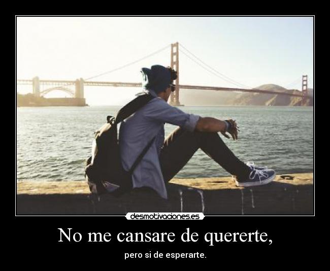 No me cansare de quererte, -