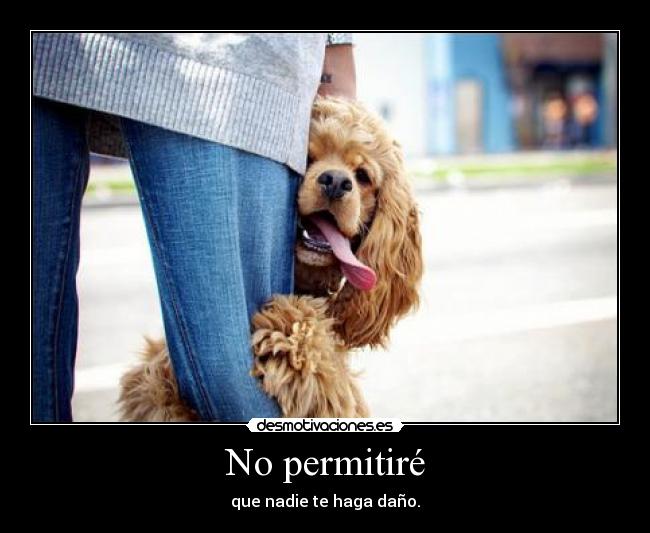 No permitiré -