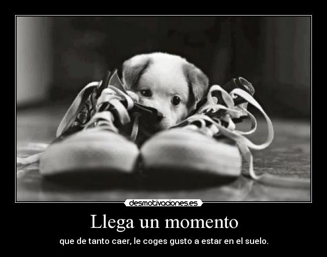 carteles cruda realidad desmotivaciones