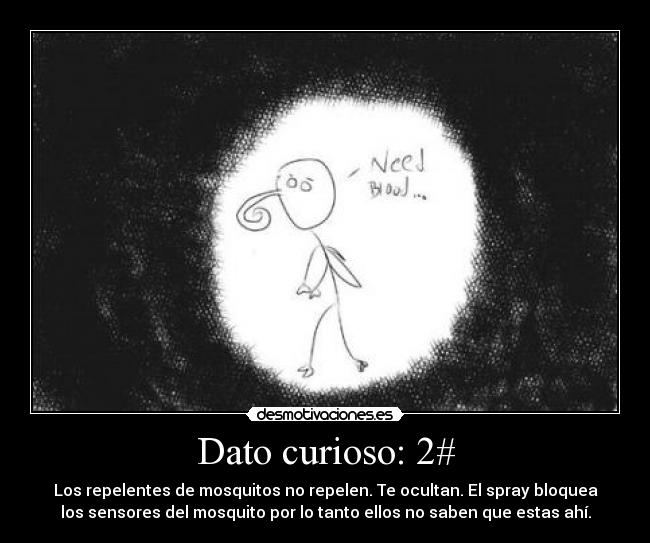 Dato curioso: 2# -