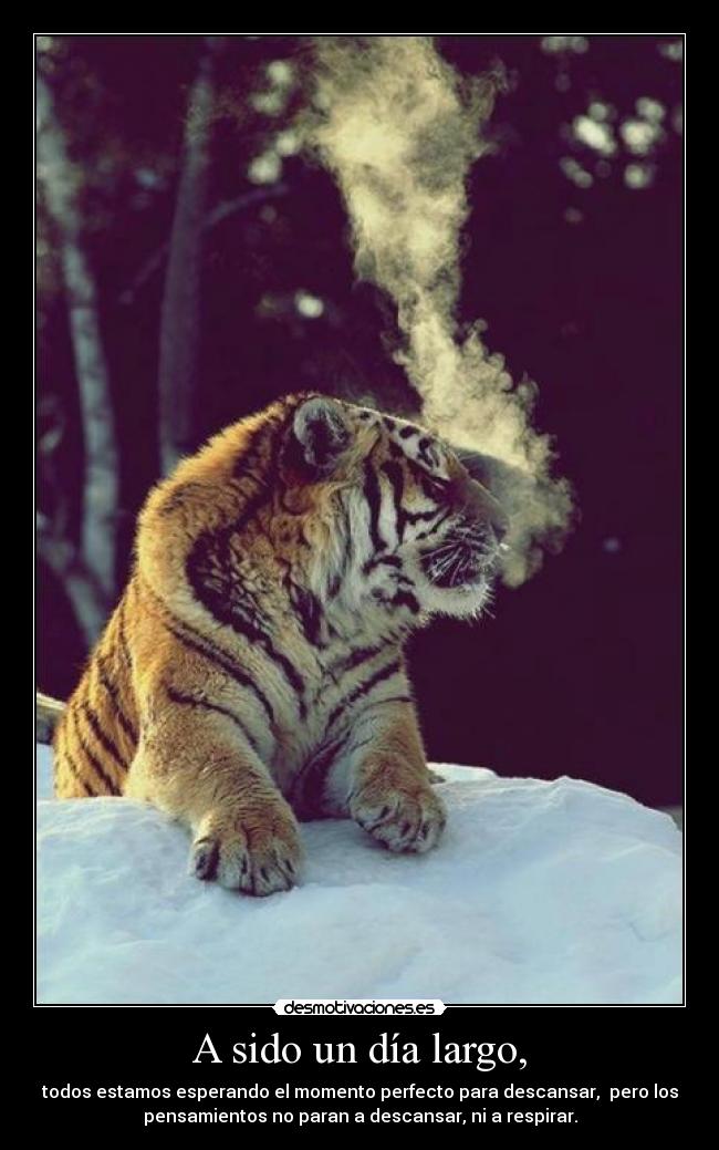 A sido un día largo, -