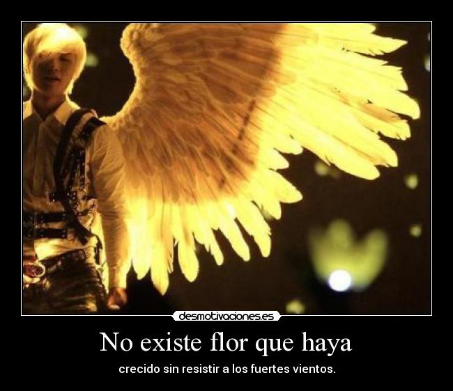 carteles daesung bigbang kpop frase documental desmotivaciones