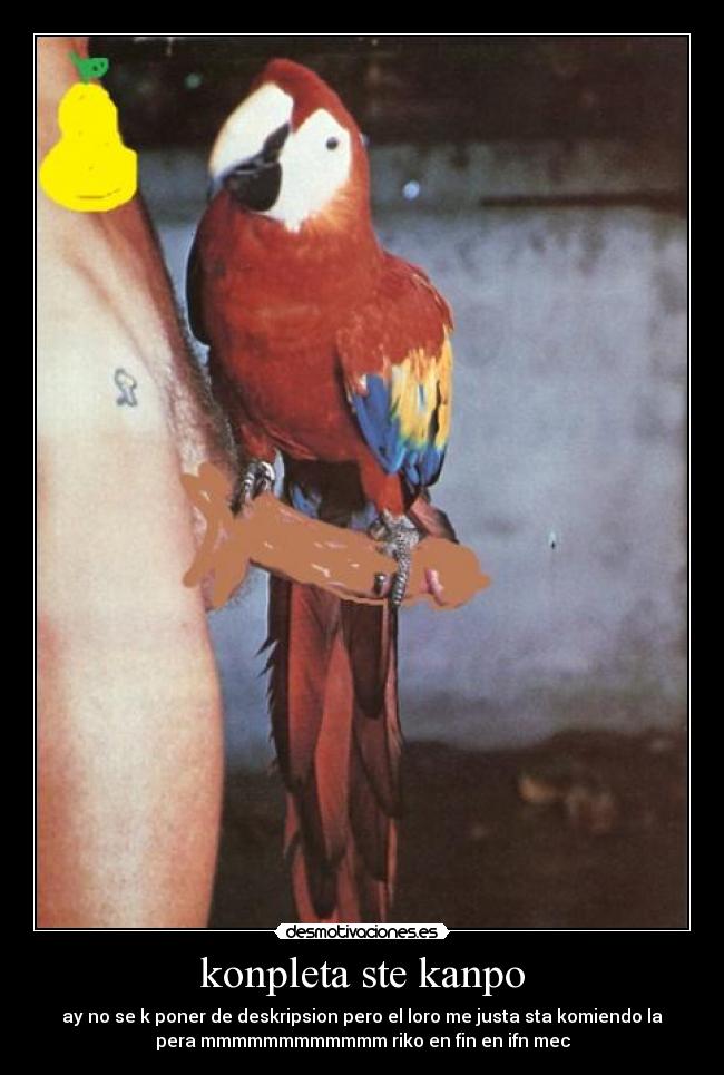 konpleta ste kanpo -