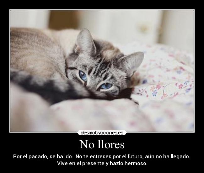 No llores - 