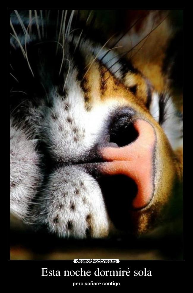 Esta noche dormiré sola -