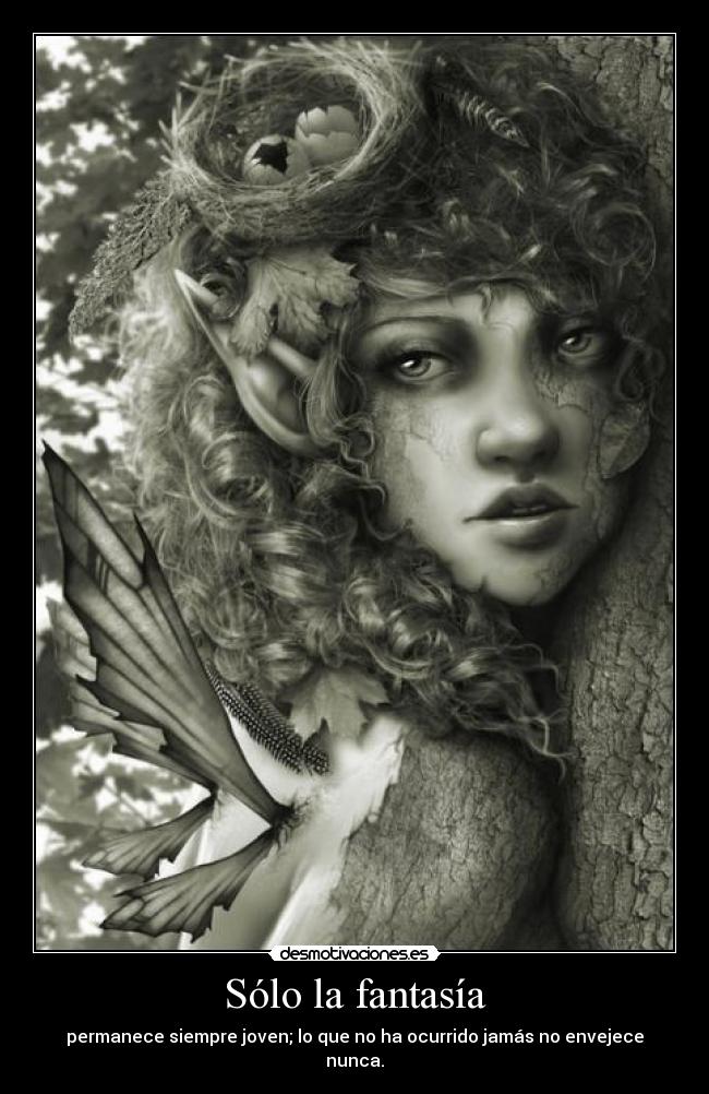Sólo la fantasía -