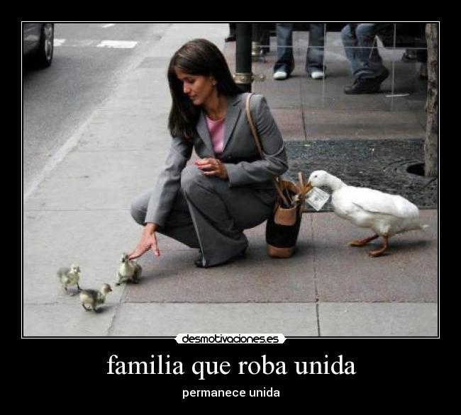 carteles familia patos desmotivaciones
