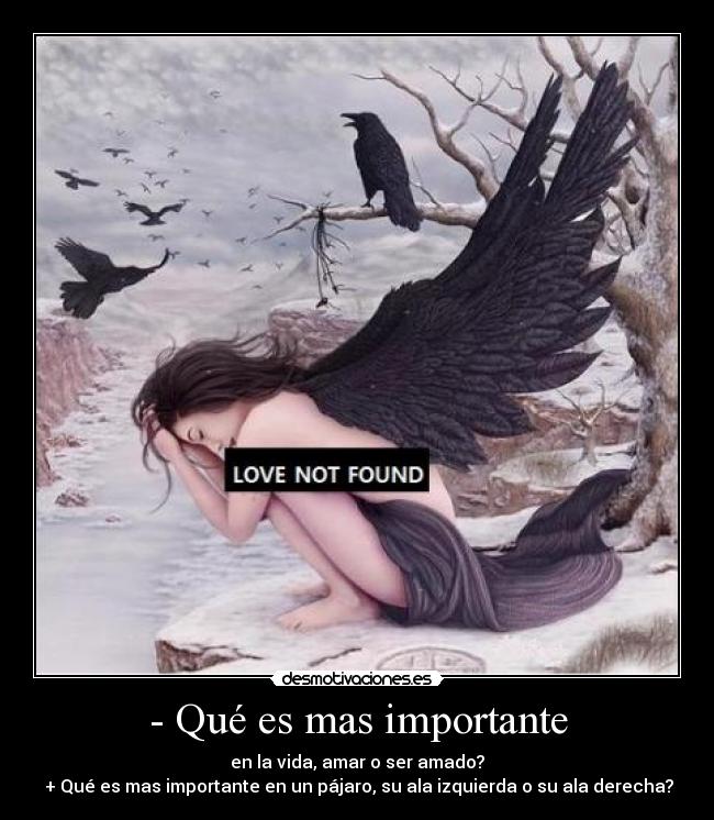 - Qué es mas importante - 