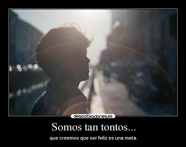Somos tan tontos... - que creemos que ser feliz es una meta.