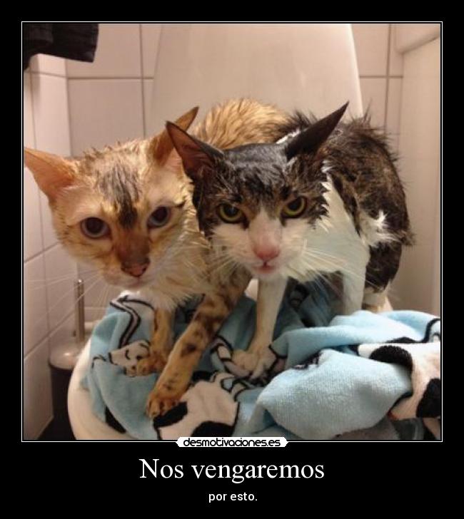 carteles muajajaj cartel malo malditos tios ahhh desmotivaciones