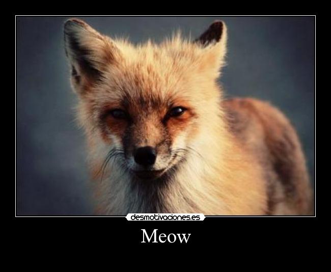 carteles davor safth 123 clandesplazado cartelesmismaimagen gatoslol desmotivaciones