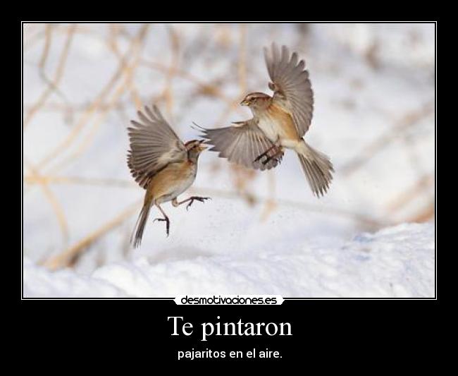 Te pintaron - pajaritos en el aire.