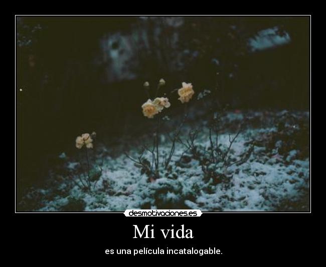Mi vida - es una película incatalogable.