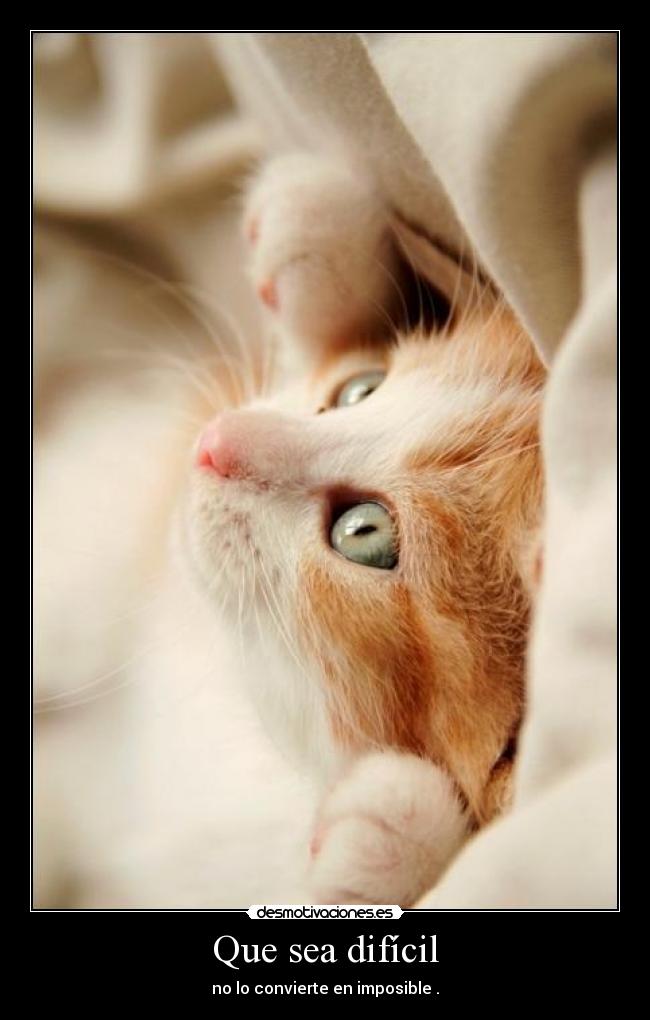 Que sea difícil - no lo convierte en imposible .