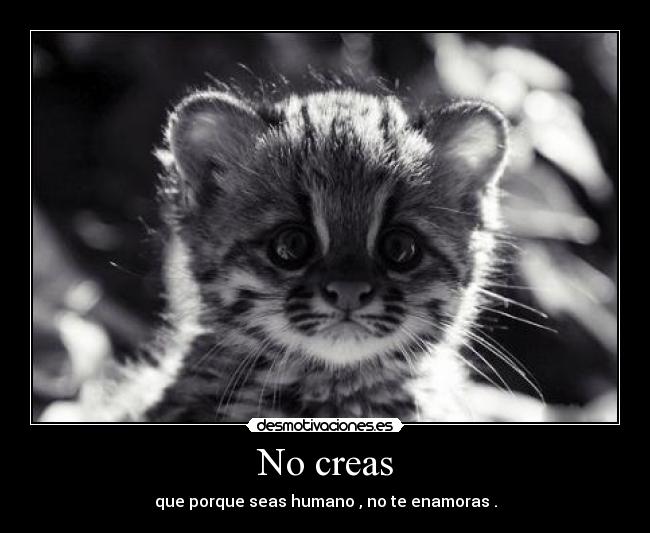 No creas - que porque seas humano , no te enamoras .