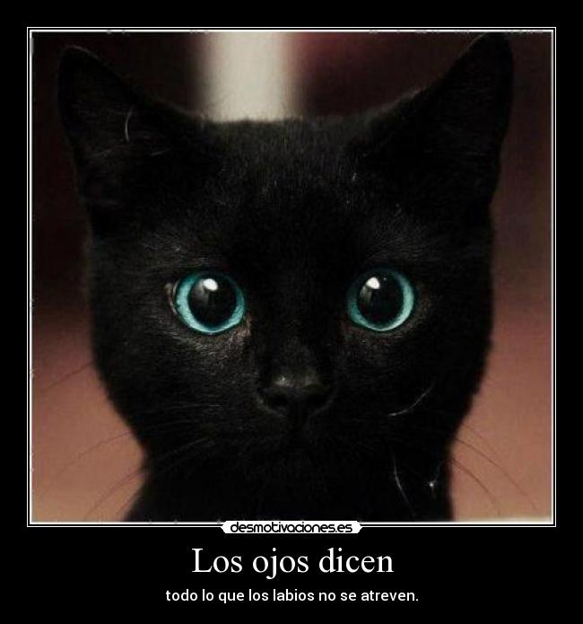 Los ojos dicen -