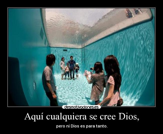 Aquí cualquiera se cree Dios, -