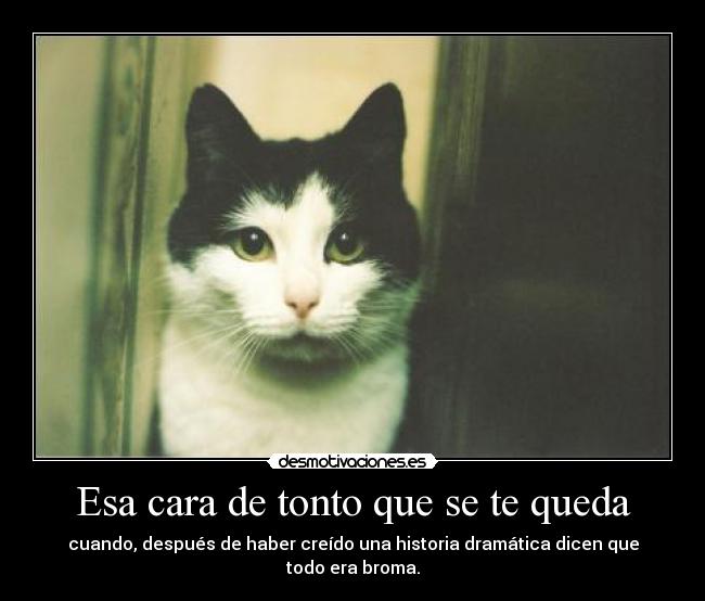 Esa cara de tonto que se te queda - cuando, después de haber creído una historia dramática dicen que todo era broma.