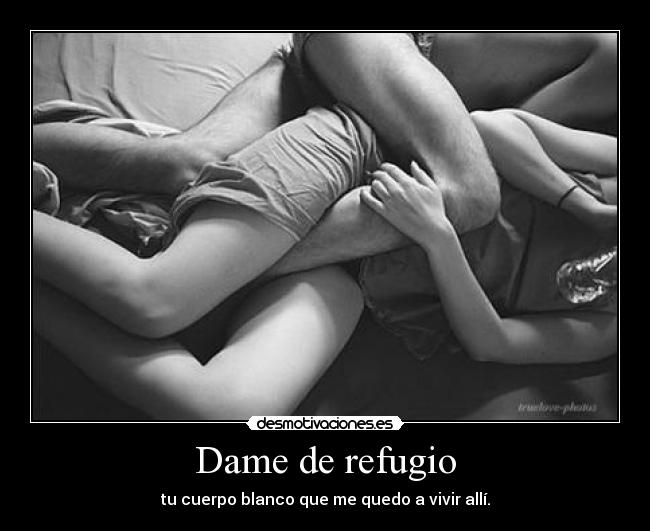 Dame de refugio - 
