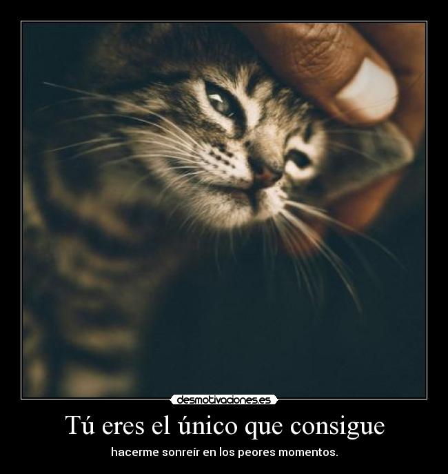 Tú eres el único que consigue -