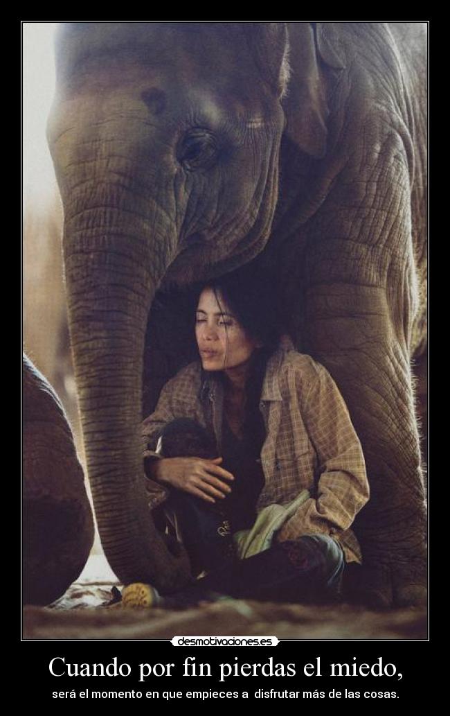 carteles miedo noalmaltratoanimalnotinequeverconlaimagenypinguino desmotivaciones