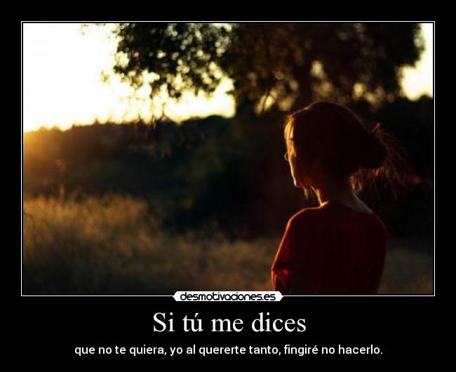 Si tú me dices - 