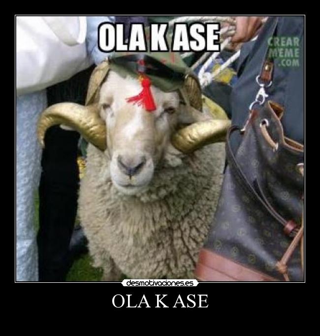 OLA K ASE - 