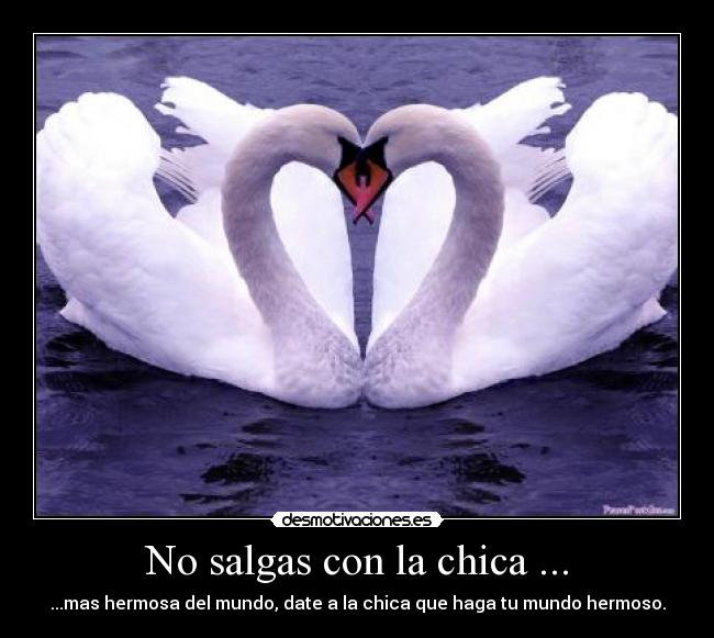 No salgas con la chica ... - ...mas hermosa del mundo, date a la chica que haga tu mundo hermoso.