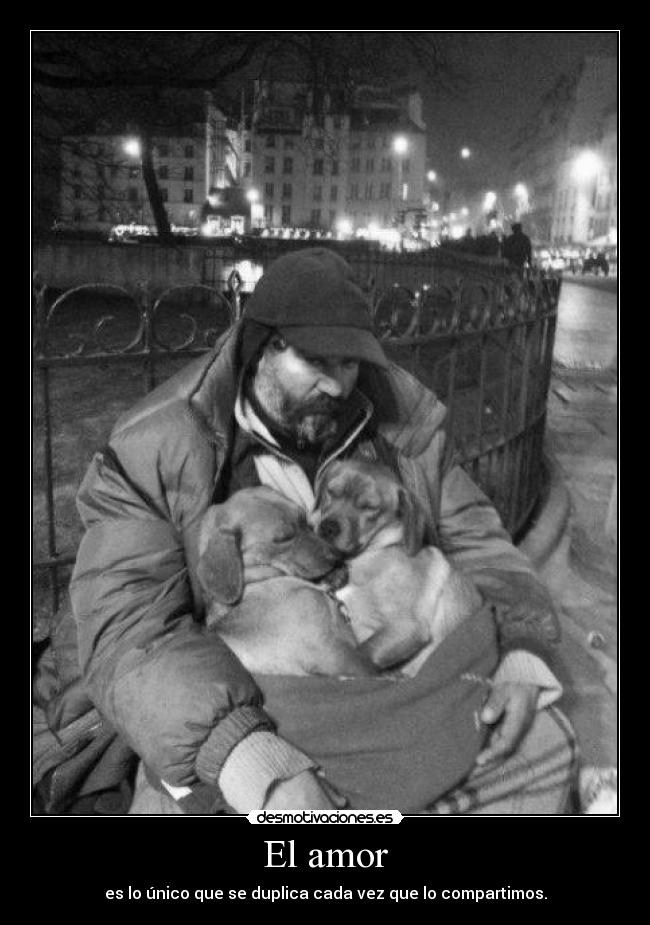 El amor - 
