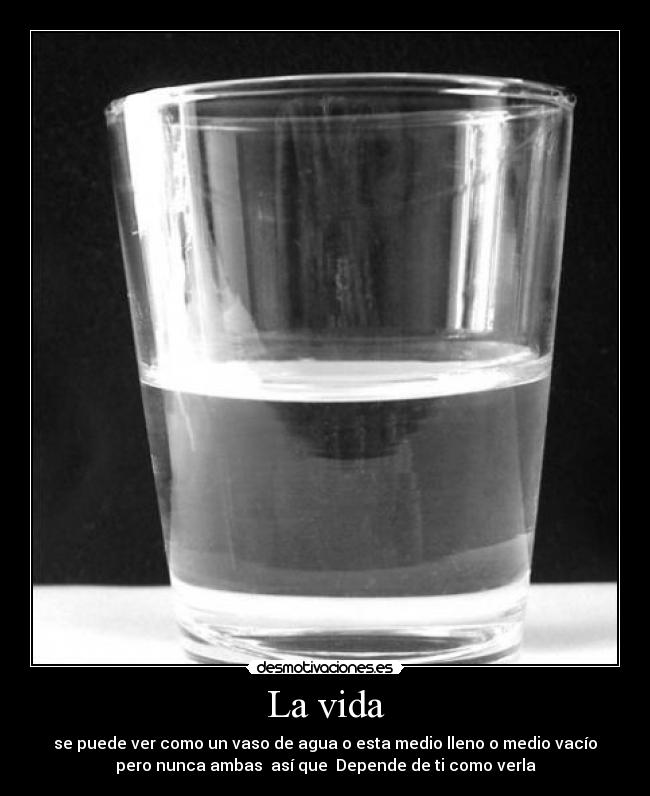 carteles vida vida desmotivaciones