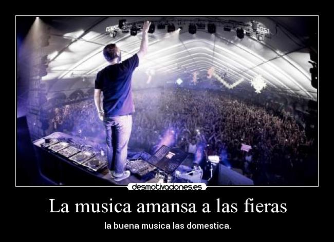 carteles musica tomorrowlandmadafaka dimitri las vegas orgasmico desmotivaciones