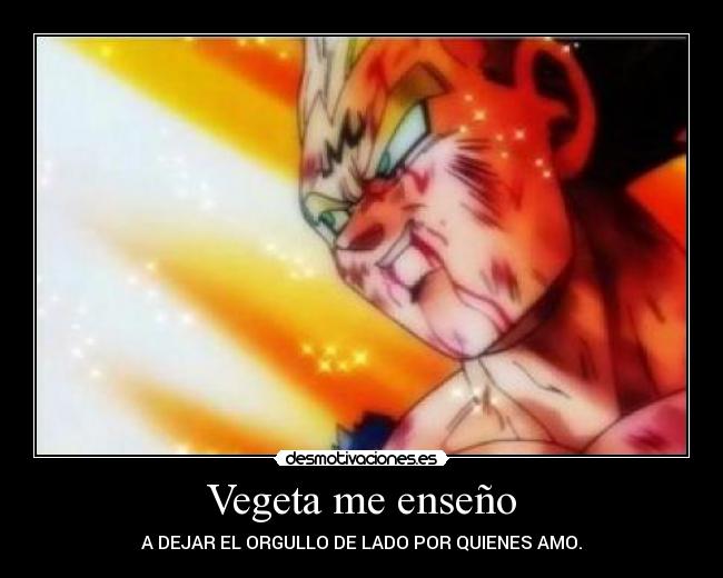 Vegeta me enseño - A DEJAR EL ORGULLO DE LADO POR QUIENES AMO.